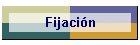 Fijación